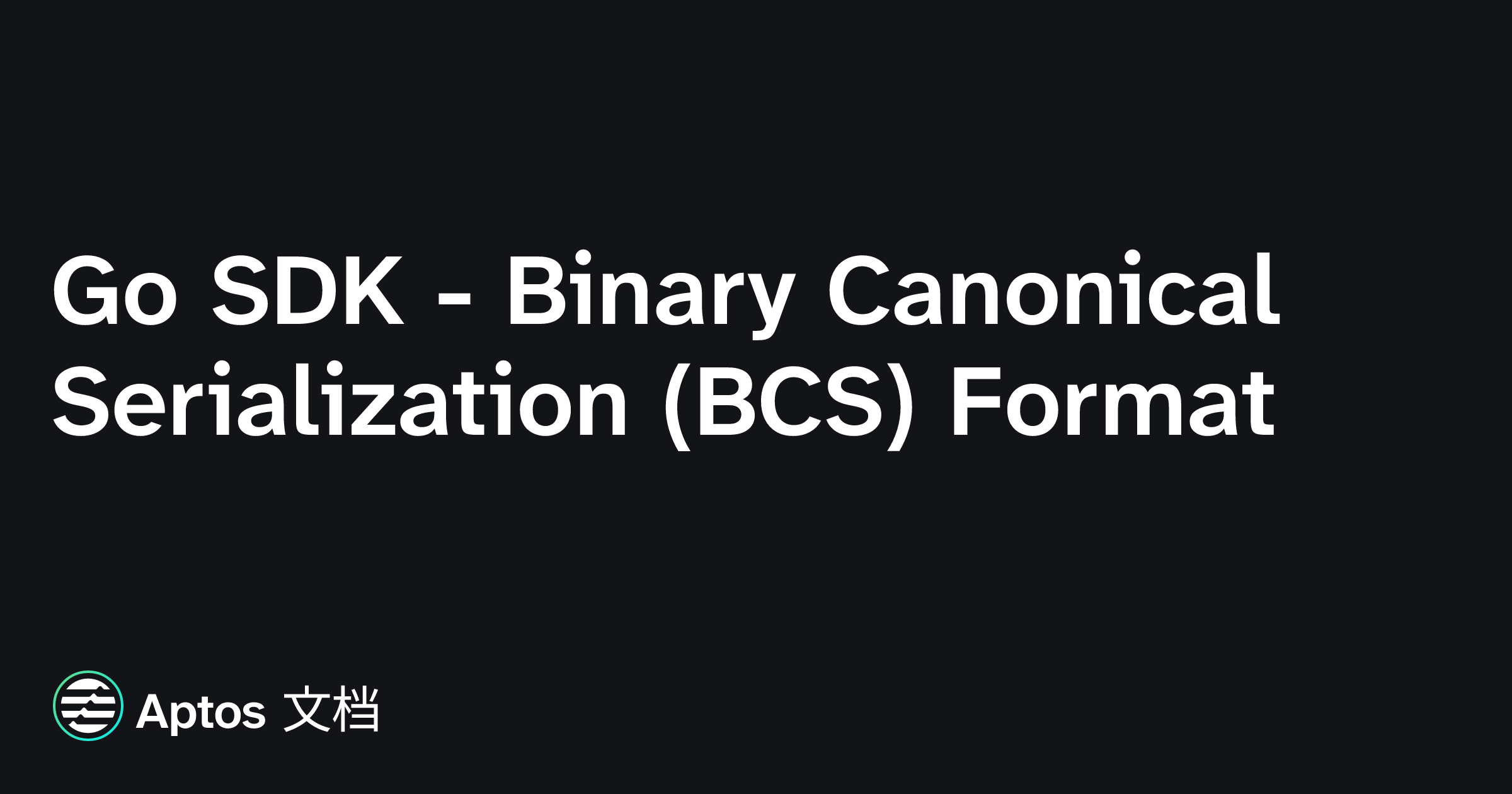 Go SDK - Binary Canonical Serialization (BCS) Format | Aptos 文档